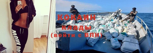 сатива Володарск