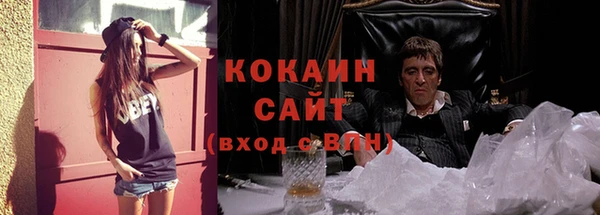 сатива Володарск