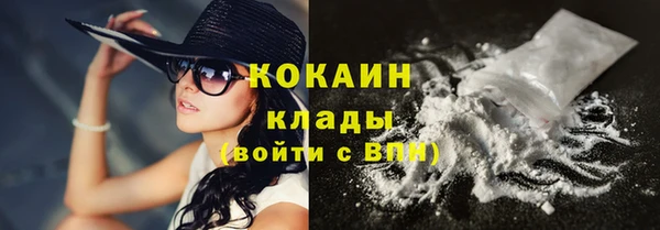 ГАЛЛЮЦИНОГЕННЫЕ ГРИБЫ Бородино