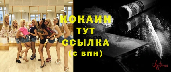 сатива Володарск